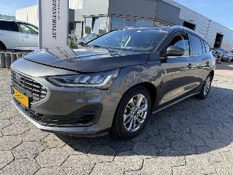 Ford Focus 1.0 EcoBoost Hybrid Titanium picture 1