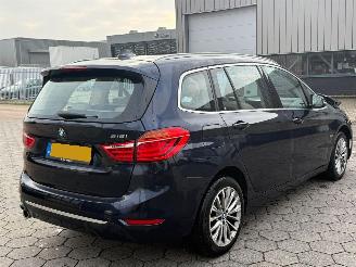 škoda osobní automobily BMW 2-serie Gran Tourer 218i 7persoons High Executive Launch Edition 2019/1