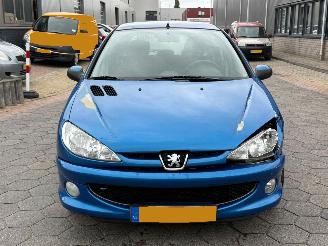 Peugeot 206 1.4 Forever picture 2