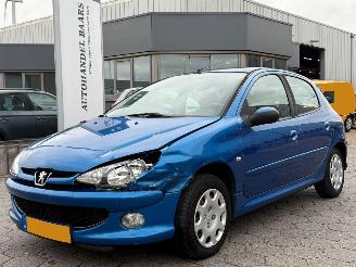 uszkodzony samochody osobowe Peugeot 206 1.4 Forever 2007/5
