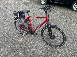 krockskadad bil fiets Stella  VICENZA.  ELECTRISCH 2023/1