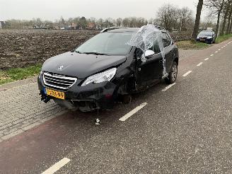 Peugeot 2008  picture 2