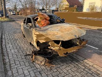 Sloopauto BMW 1-serie 120i 16V Coupe 2 drs 2013/1