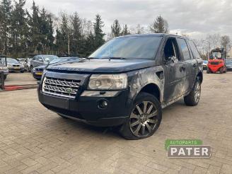 rozbiórka samochody osobowe Land Rover Freelander Freelander II, Terreinwagen, 2006 / 2014 2.2 td4 16V 2010/12