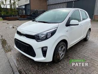 Sloopauto Kia Picanto Picanto (JA), Hatchback, 2017 1.0 DPi 12V 2023/11