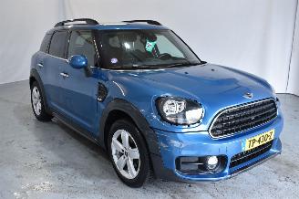 Schadeauto Mini Countryman ONE 2018/9
