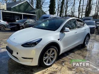 Vrakbiler auto Tesla Model Y Model Y (5YJY), SUV, 2019 Long Range,Performance 2023/11