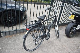 Koga-Miyata   picture 2