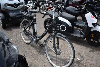 Schade fiets VOGUE Premium  2024/5