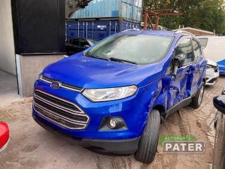Ford EcoSport EcoSport (JK8), SUV, 2013 1.0 EcoBoost 12V 125 picture 1