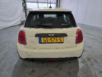 Mini One 1.2 Salt picture 6