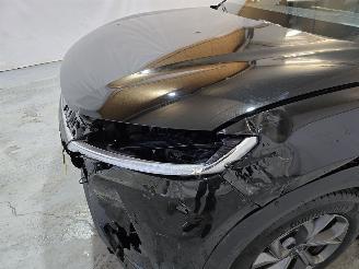 BYD  Atto 2 picture 10