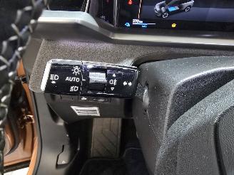 Opel Grandland GS 73 kWh picture 28