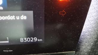 Citroën E-C4 Shine 50 kWh picture 24