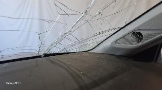 Citroën E-C4 Feel 50 kWh picture 36