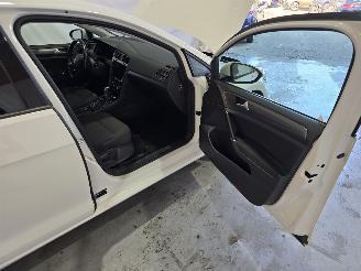 Volkswagen Golf E-Golf picture 14