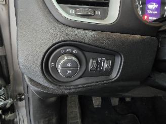 Jeep Renegade 1.4 MAir Night Eagle picture 26