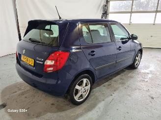 Skoda Fabia 1.2 TDI Greenline picture 6