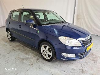 Skoda Fabia 1.2 TDI Greenline picture 3