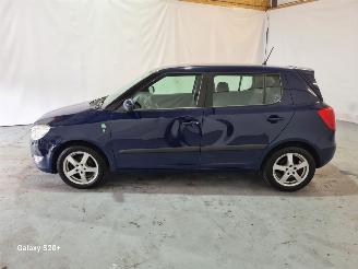 Skoda Fabia 1.2 TDI Greenline picture 31