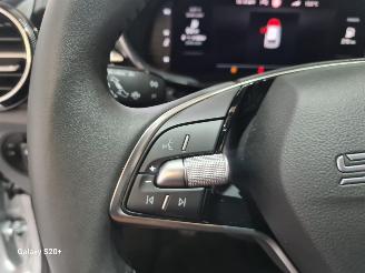 Skoda Fabia 1.0 TSI Bns Edition picture 20