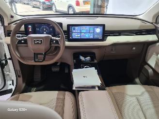 Aiways U5  picture 20