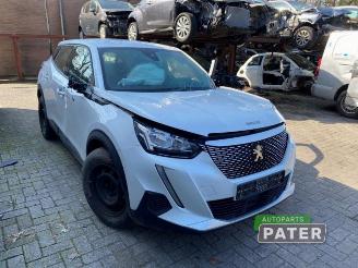 Peugeot 2008 2008 (UD/UK/UR/US/UX), MPV, 2019 e-2008 50 kWh picture 2
