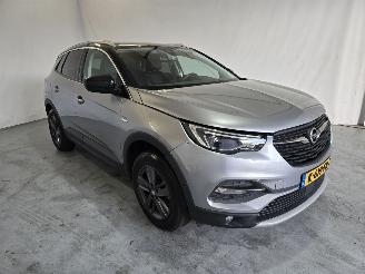 škoda osobní automobily Opel Grandland X 2019/5