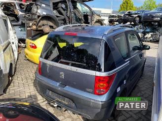 Peugeot 1007 1007 (KM), Hatchback 3-drs, 2004 / 2011 1.4 picture 3