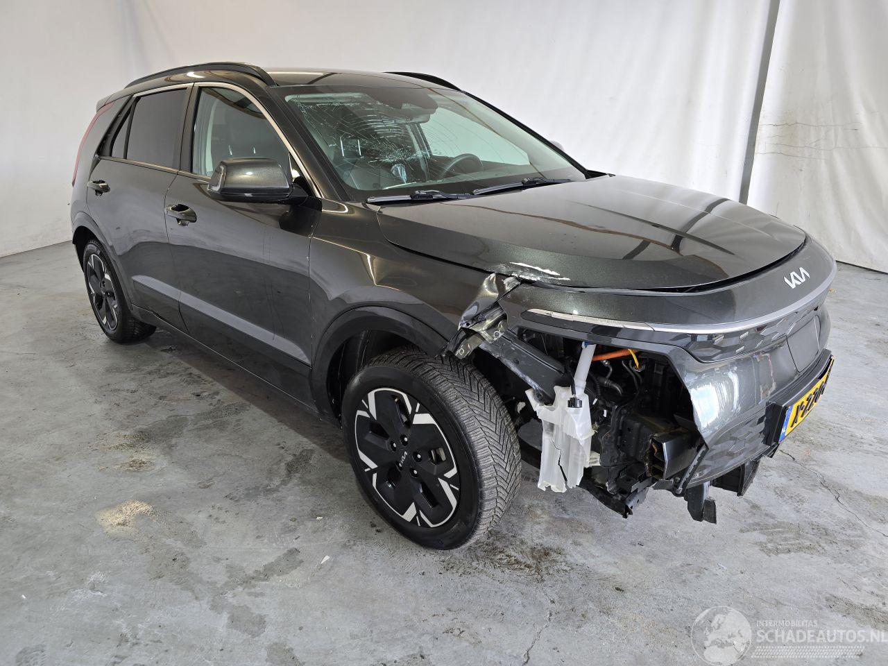 Kia Niro EV DynamicLine 64.8 kWh