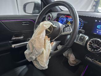 Mercedes EQB 250+ Luxury Line picture 19