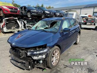 disassembly passenger cars Skoda Kamiq Kamiq, SUV, 2019 1.0 TSI 12V 2021/6