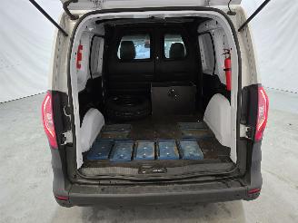 Renault Kangoo VAN picture 19