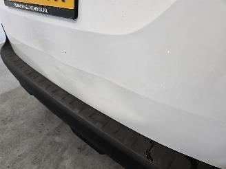 Renault Kangoo VAN picture 13