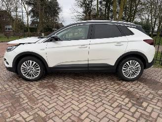 Opel Grandland X 1.2 Turbo Business Executive picture 2