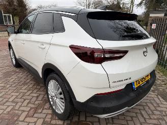 Opel Grandland X 1.2 Turbo Business Executive picture 8