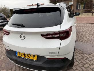 Opel Grandland X 1.2 Turbo Business Executive picture 6