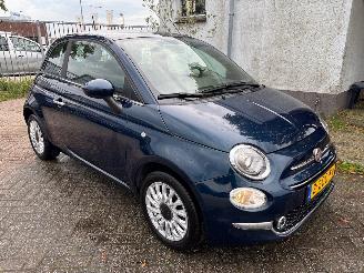 Fiat 500 1.0 hybrid pano/pdc/cc picture 2
