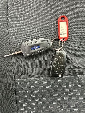 Ford Transit Custom 2.0 TDCi L1H1 Trend Automatik picture 49