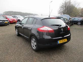 Renault Mégane 2.0 Dynmique Aut NAP picture 5