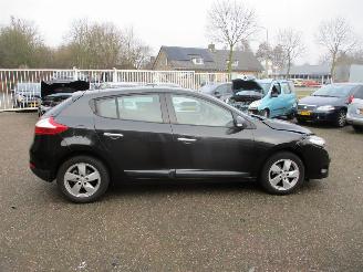 Renault Mégane 2.0 Dynmique Aut NAP picture 8