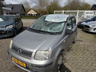 Fiat Panda 1.2 Dynamic picture 10