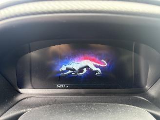 Ford Puma 1.0 EcoBoost  Hybrid ST-Line X picture 23
