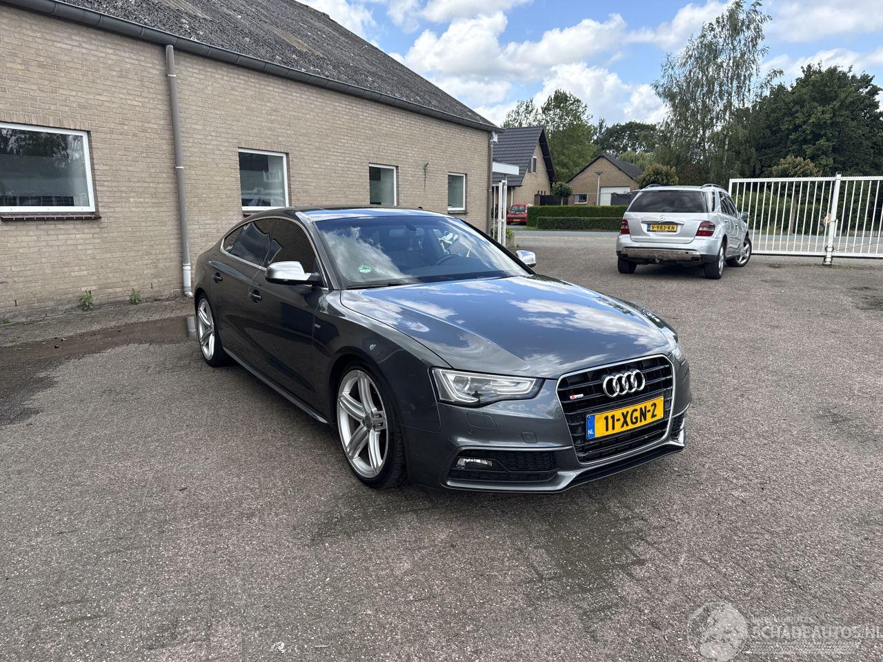 Audi A5 SPORTBACK 1.8 TFSI Pro Line S REST BPM €500,-!!!