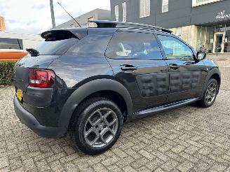 Citroën C4 cactus 1.2 PureTech Shine NAP picture 3