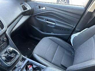 Ford Kuga 1.5 EcoBoost ST Line picture 13