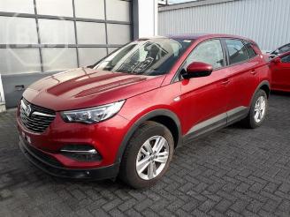 Uttjänta bilar auto Opel Grandland Grandland/Grandland X, SUV, 2017 1.5 CDTI 130 2019/0