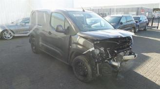 Opel Combo Combo Cargo, Van, 2018 1.6 CDTI 100 picture 2