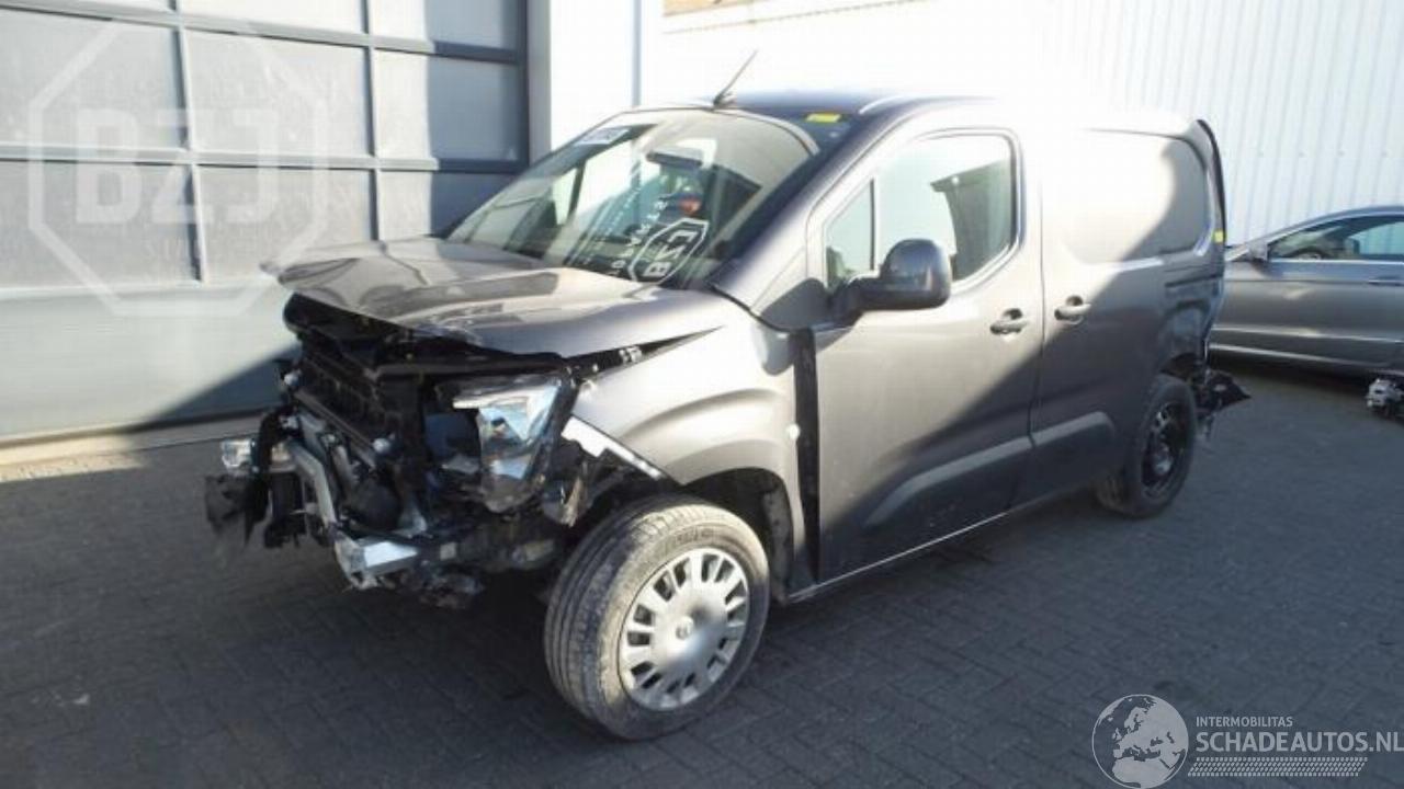 Opel Combo Combo Cargo, Van, 2018 1.6 CDTI 100