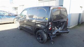 Opel Combo Combo Cargo, Van, 2018 1.6 CDTI 100 picture 4